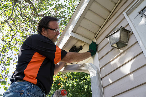 Best Custom Trim and Detailing for Siding  in Enon, VA